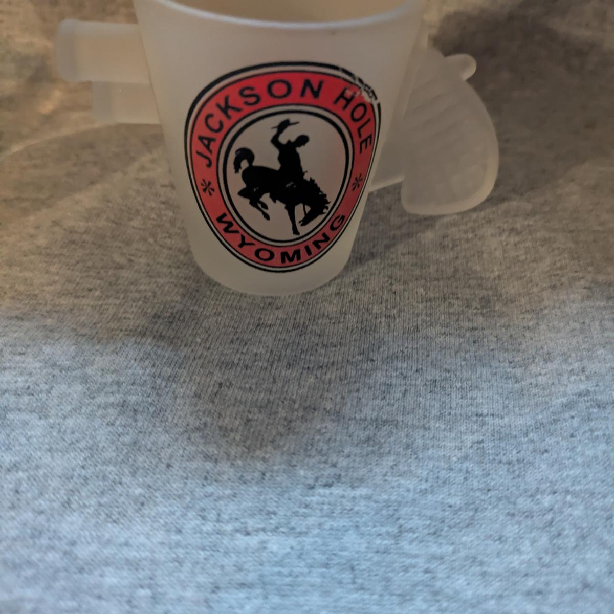 Vintage Jackson Hole Wyoming Frosted Shot Glass